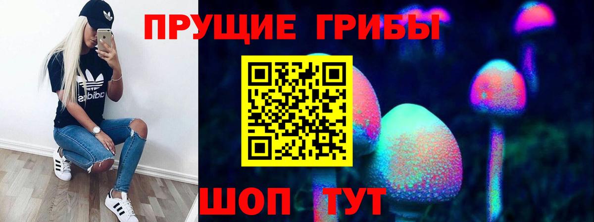 даркнет сайт  Галлюциногенные грибы прущие грибы  Вход с VPN  Губаха 